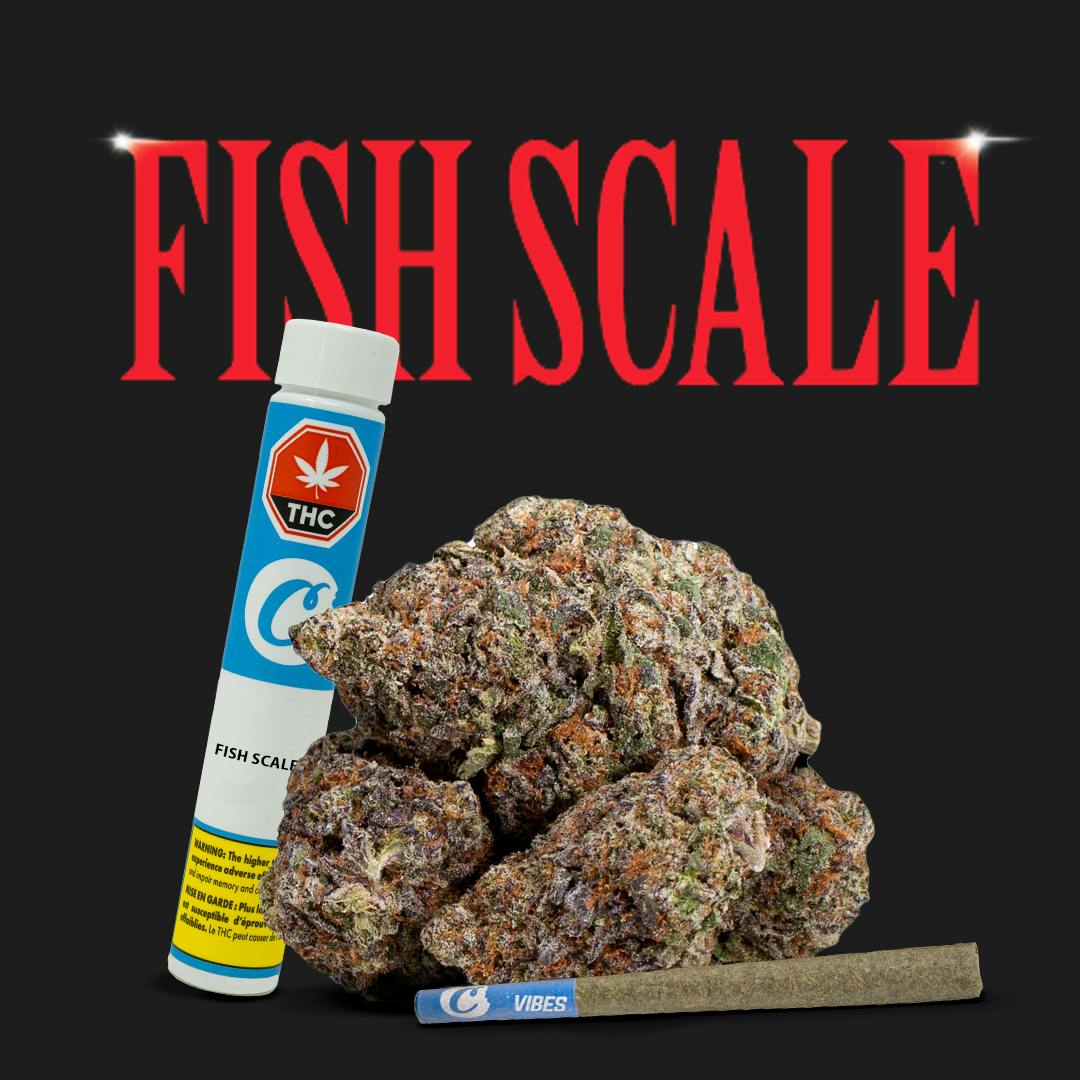 Fish Scale 1g Preroll - image 1
