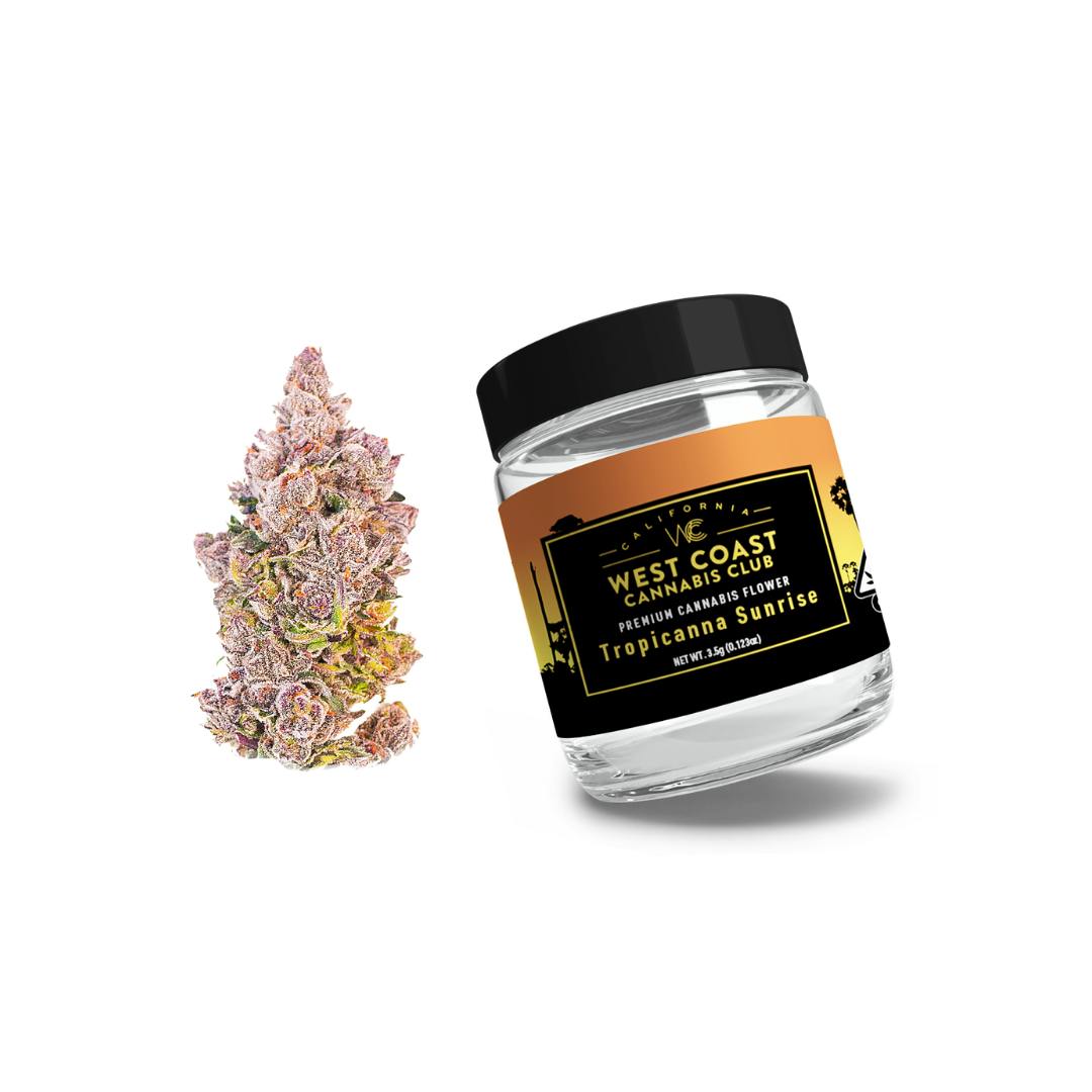 WCCC | Tropicana Sunrise - image 1