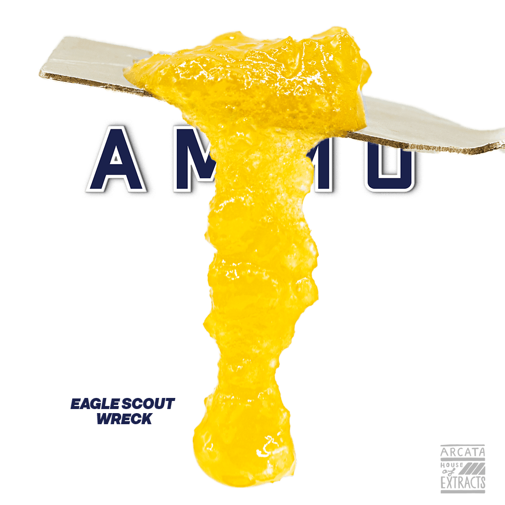 Eagle Scout Wreck - Loaded Live™ Resin (1g) - image 1