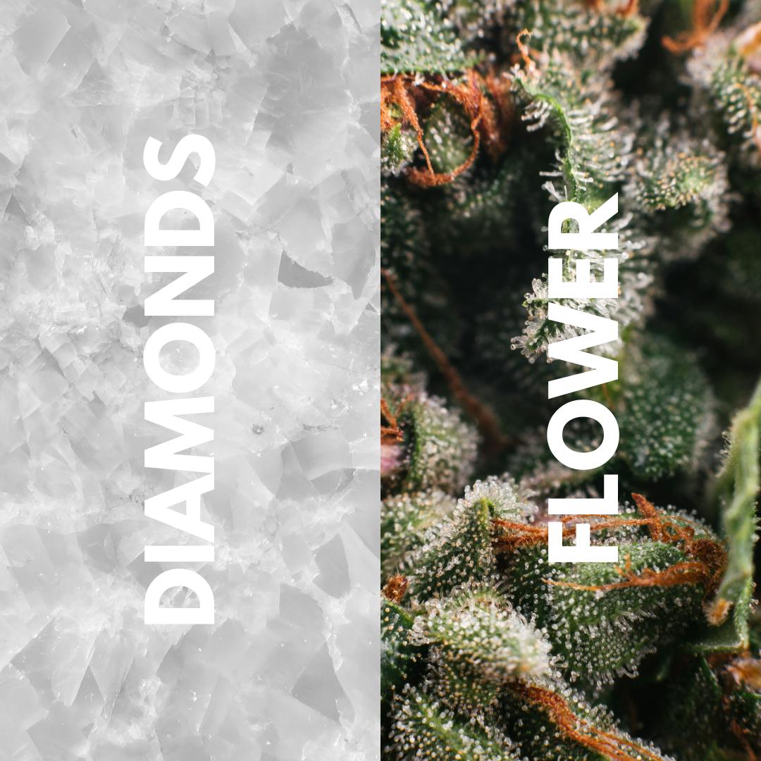AMAZING OG - DIAMOND INFUSED FLOWER 3.5G - image 3