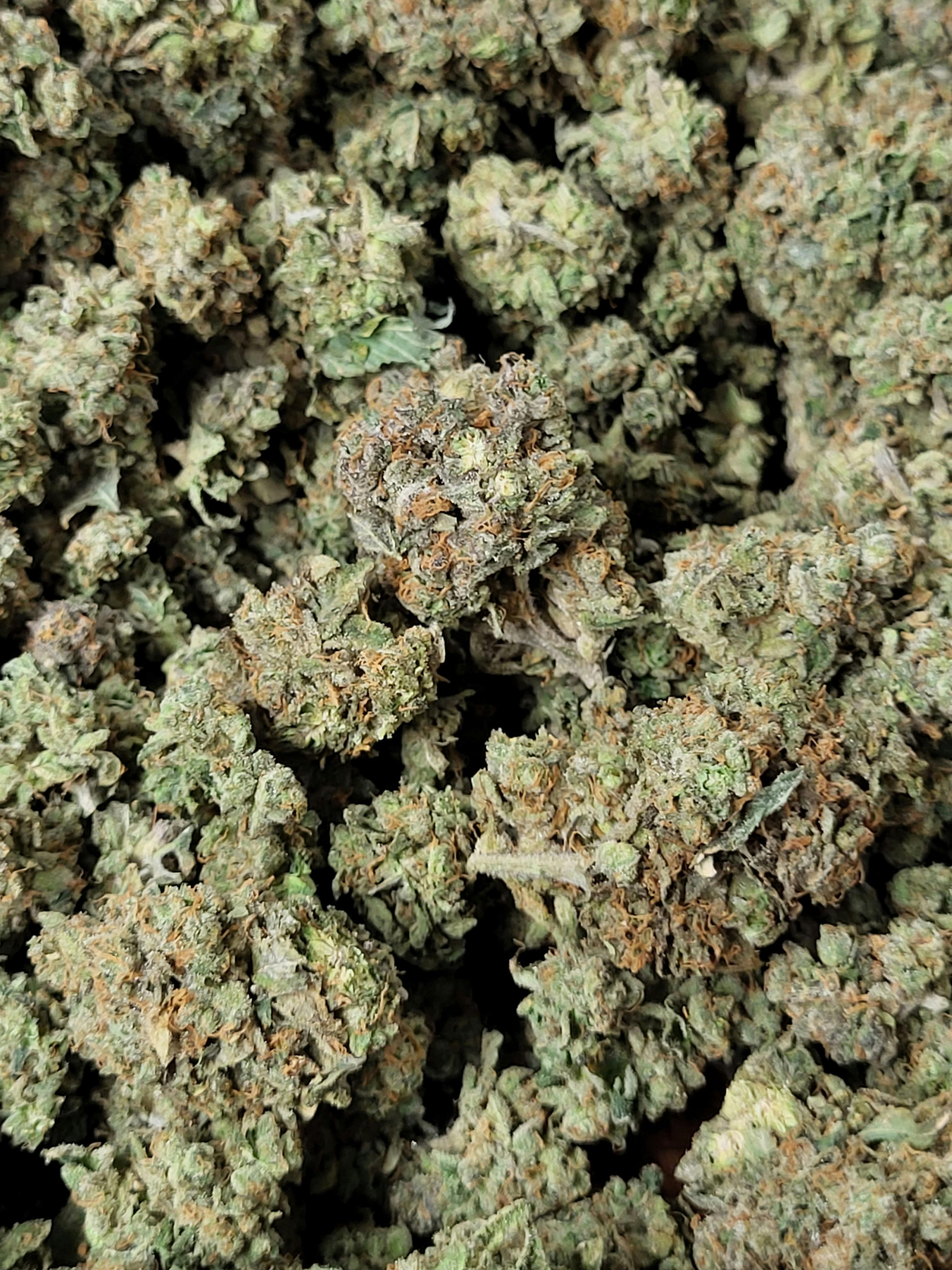 Georgia Pie 🥧 - image 1
