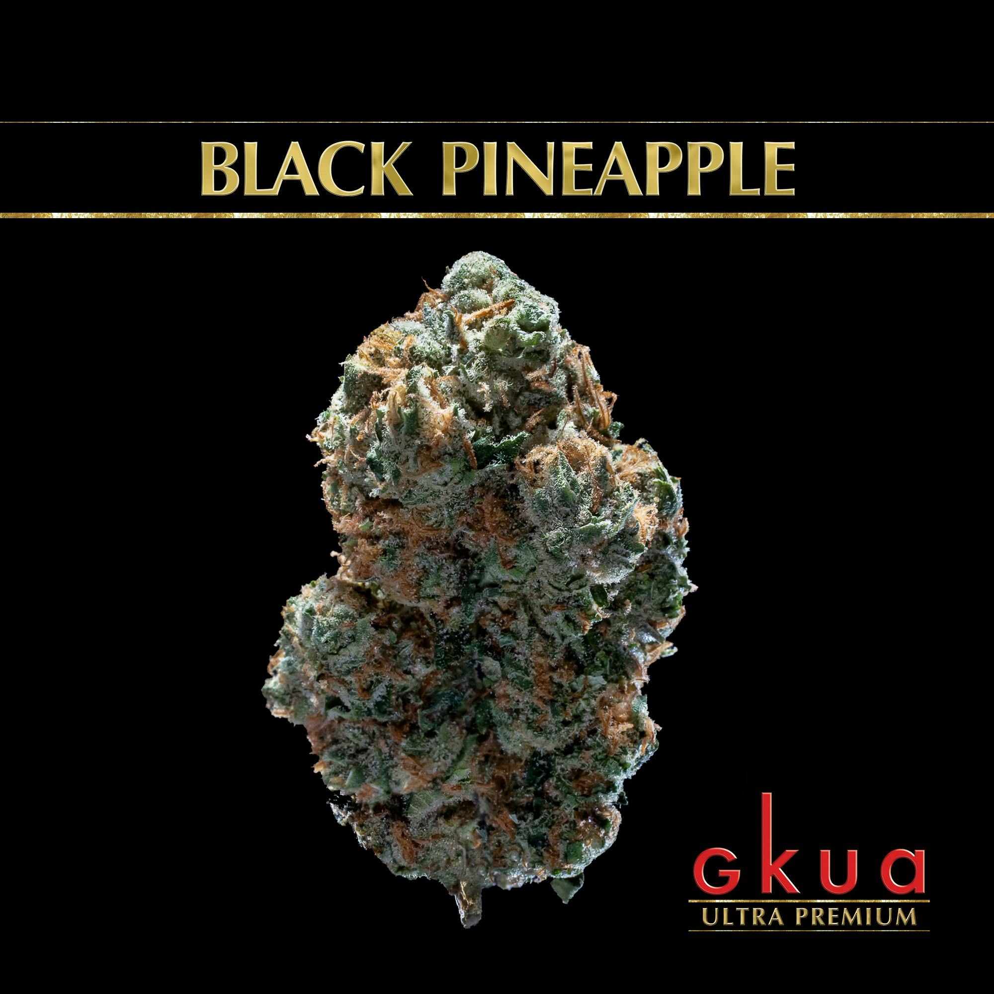Black Pineapple - image 1