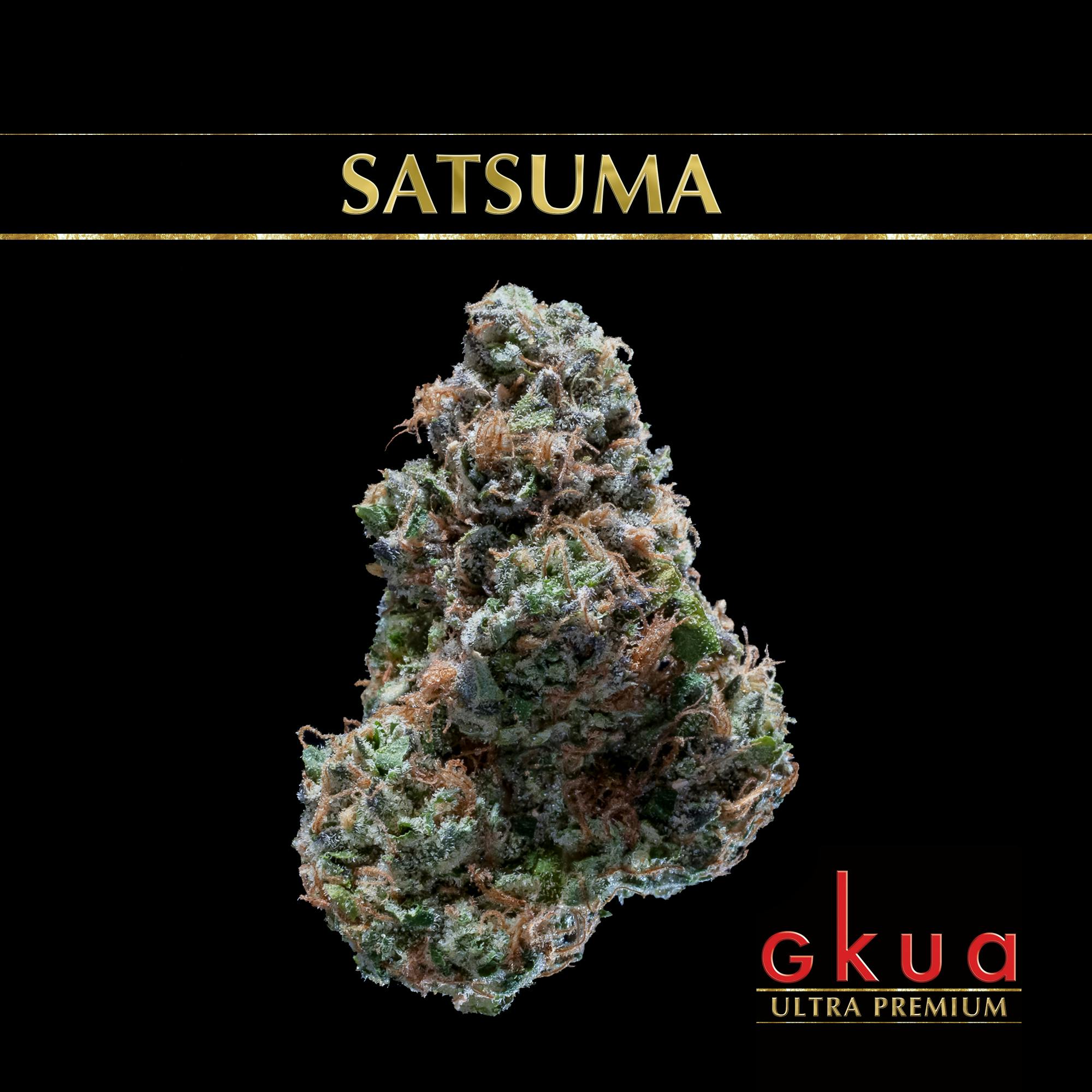 Satsuma - image 1