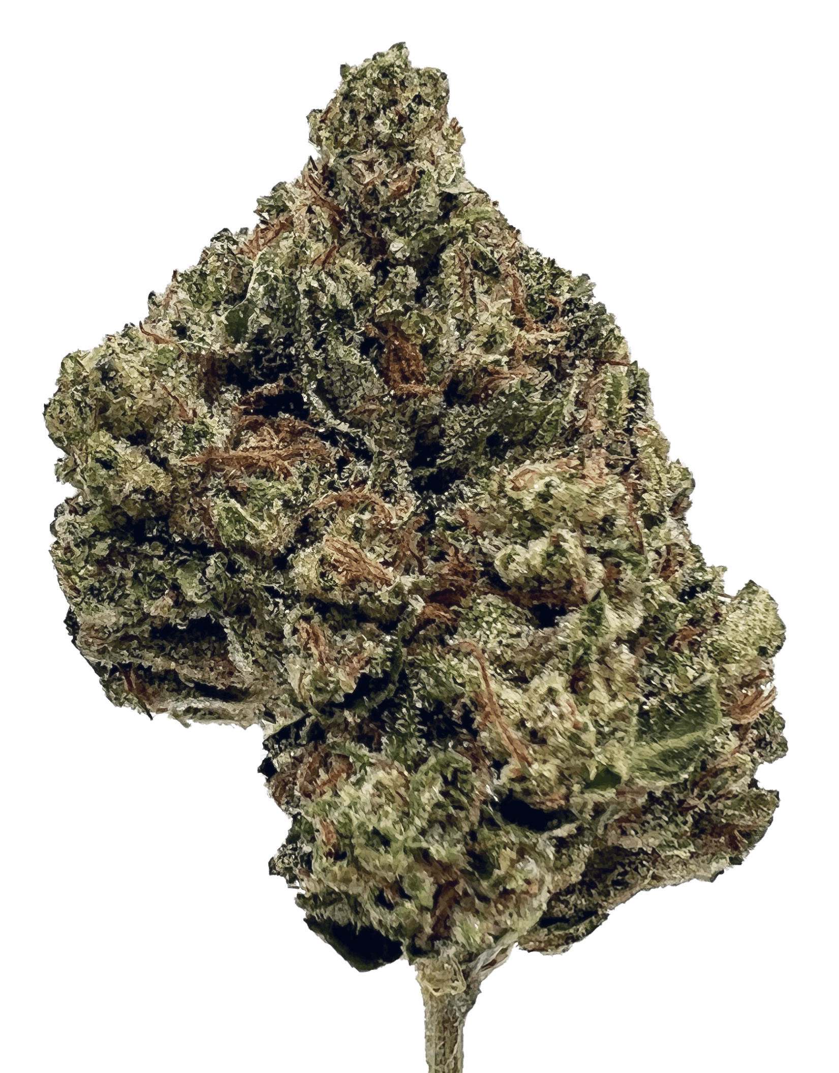 Chem Dawg - Especial 1/8th - image 4