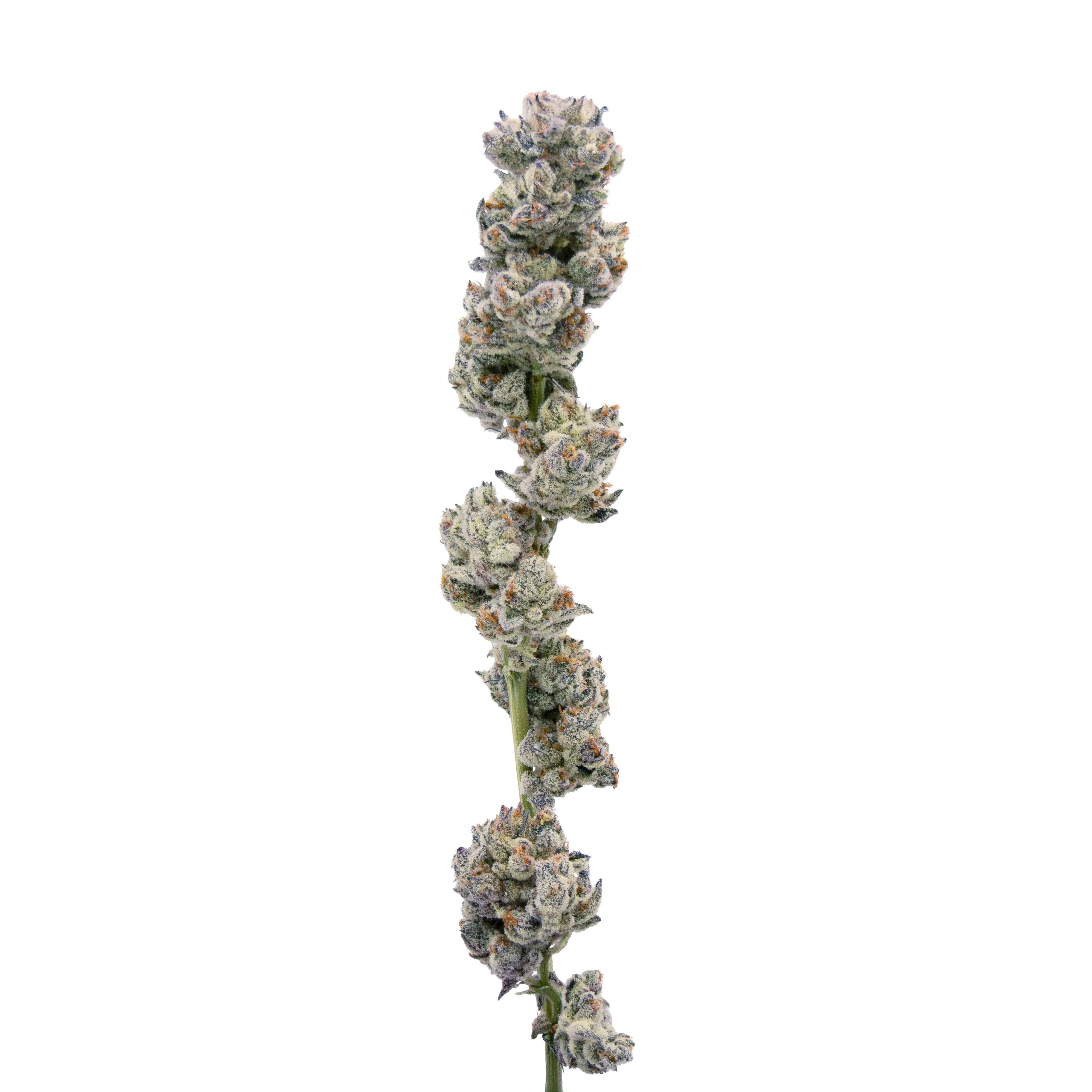 Cookies & Cream - image 1