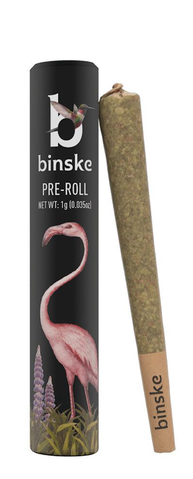 Rose Pre-Roll - image 1