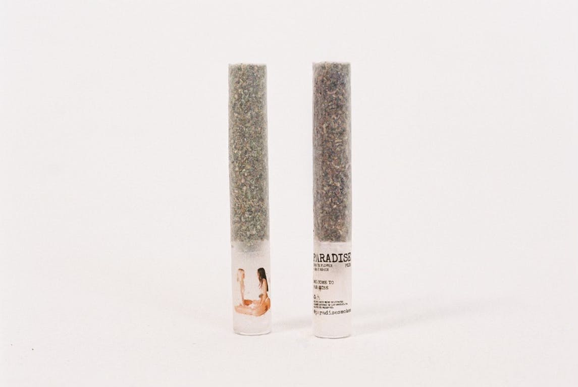 Paradise PLUS - Milk + Honey (2g) - image 2