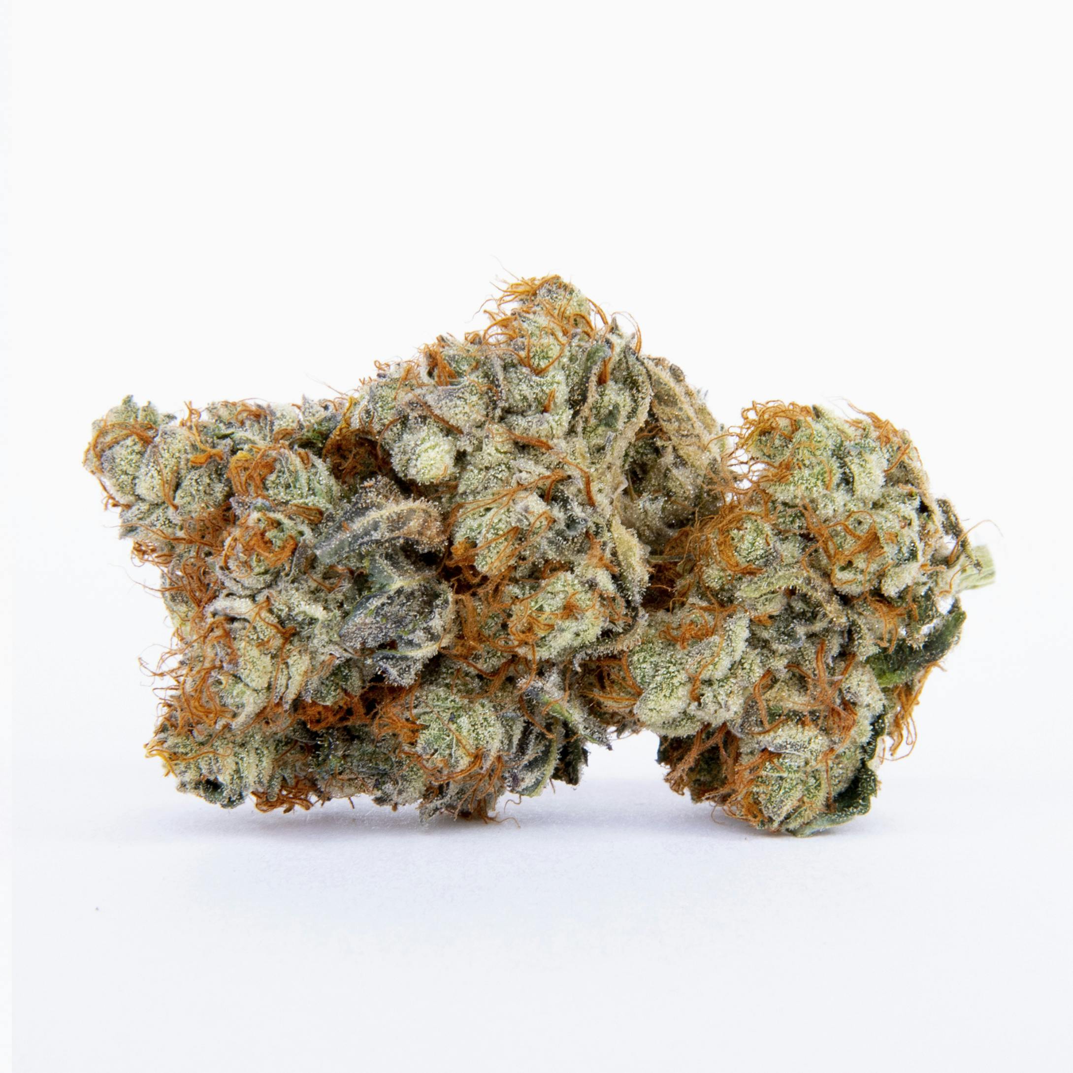 Lemon Pastries | 3.5g Indoor - image 1