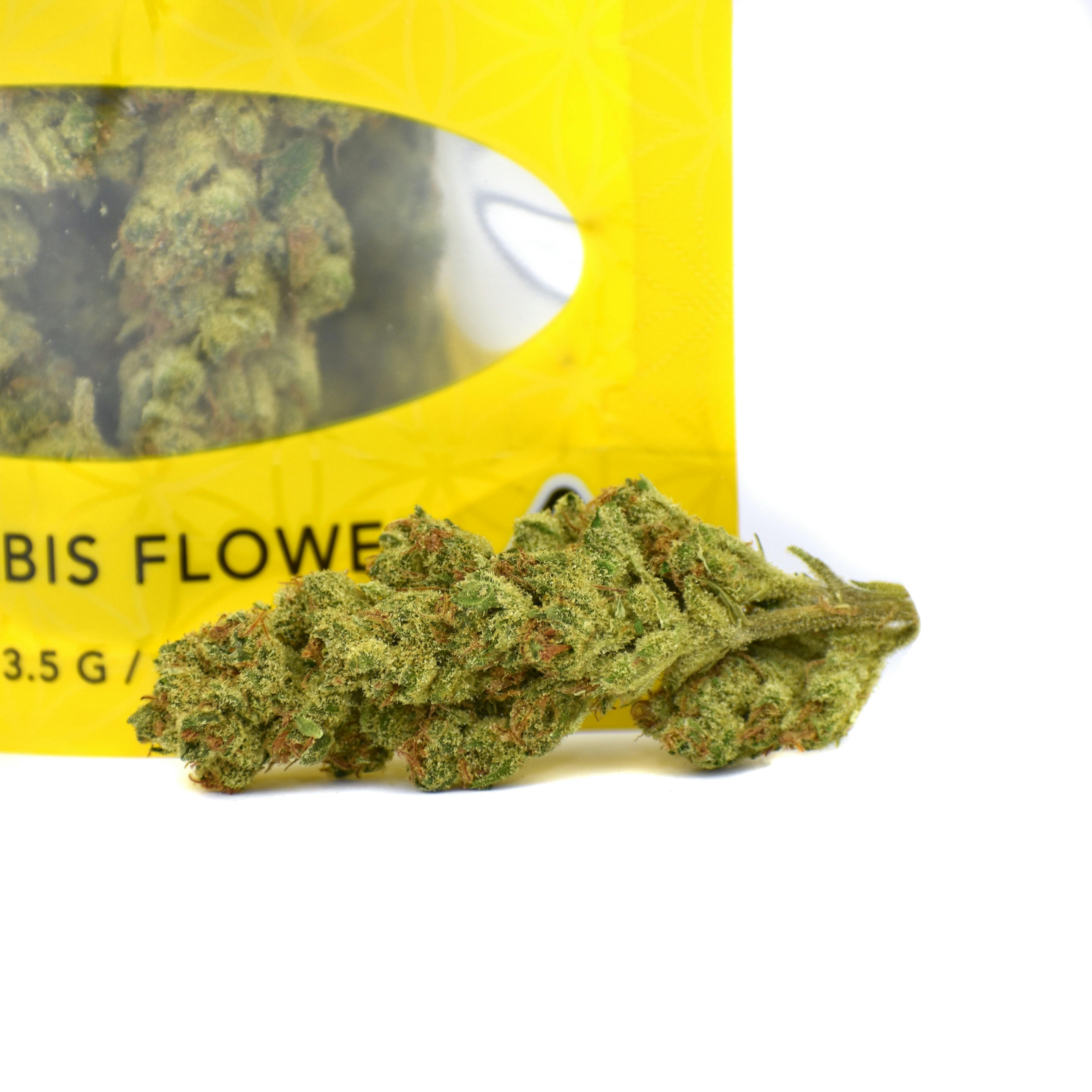 Dosipaya | G-House Flower 3.5g - image 2