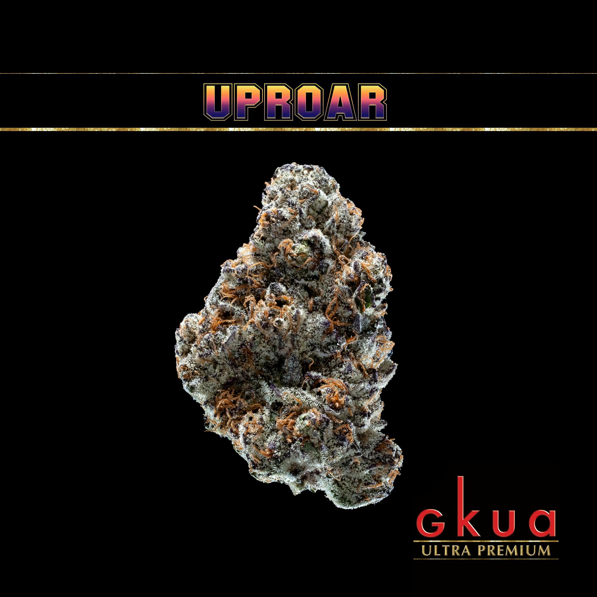 UPROAR - image 1