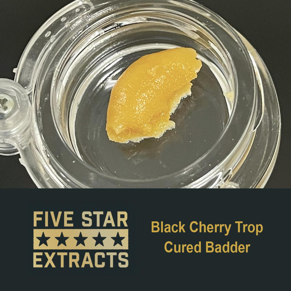 Five Star Extracts: Black Cherry Trop - 1 Gram Cured Badder - image 1
