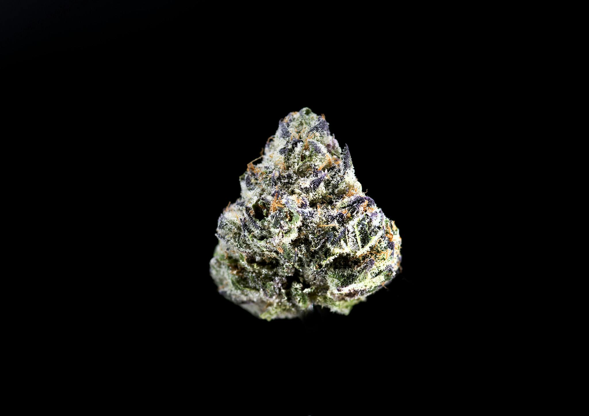 Tropicanna Banana 3.5g Flower - image 2