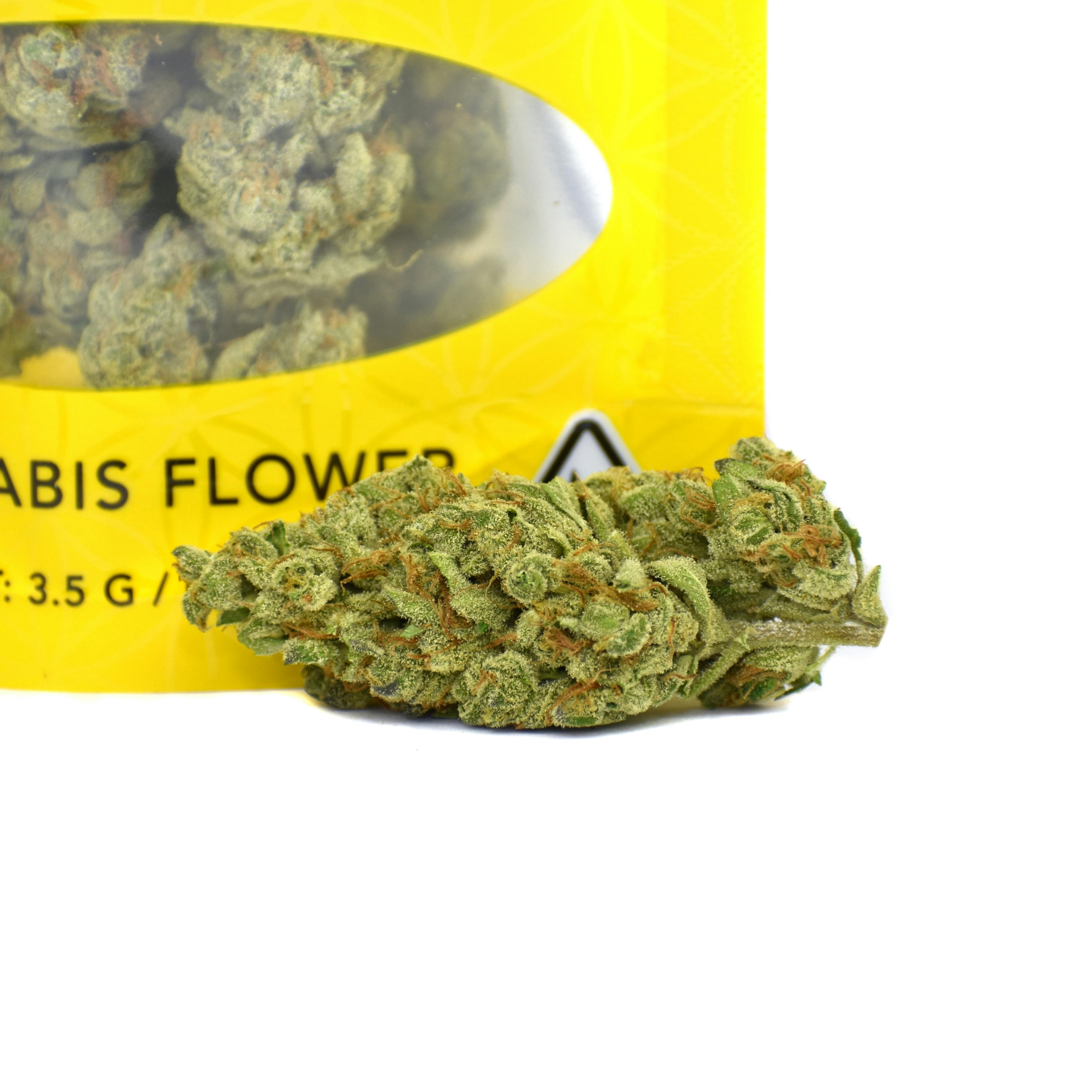 Animal Face x Kush Mints 11 #1 | G-House Flower 3.5g - image 2