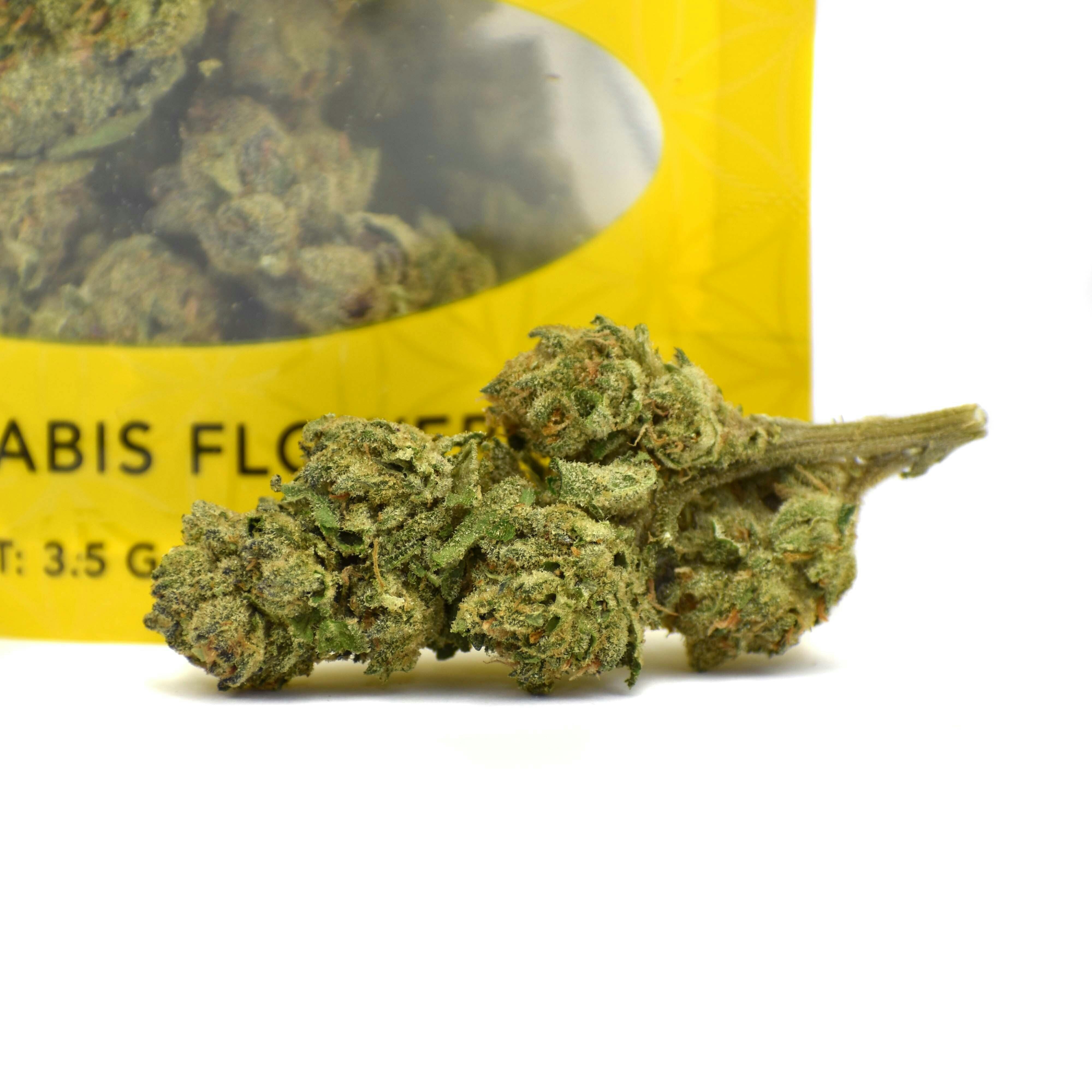 Banana Cream Cake (Banana Cream Cake x Jealousy) | G-House Flower 3.5g - image 2