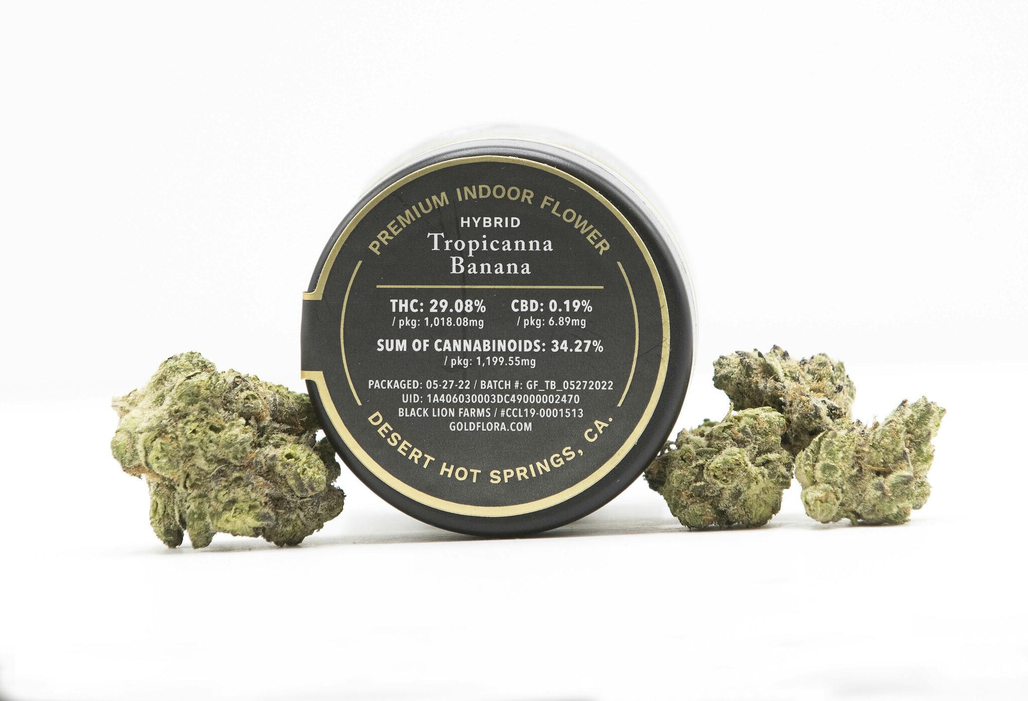 Tropicanna Banana 3.5g Flower - image 1