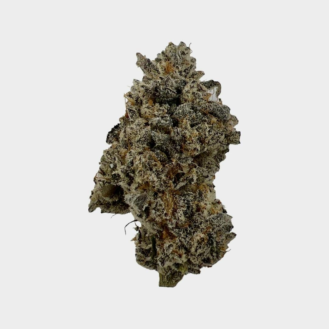 Animal Mints - image 1