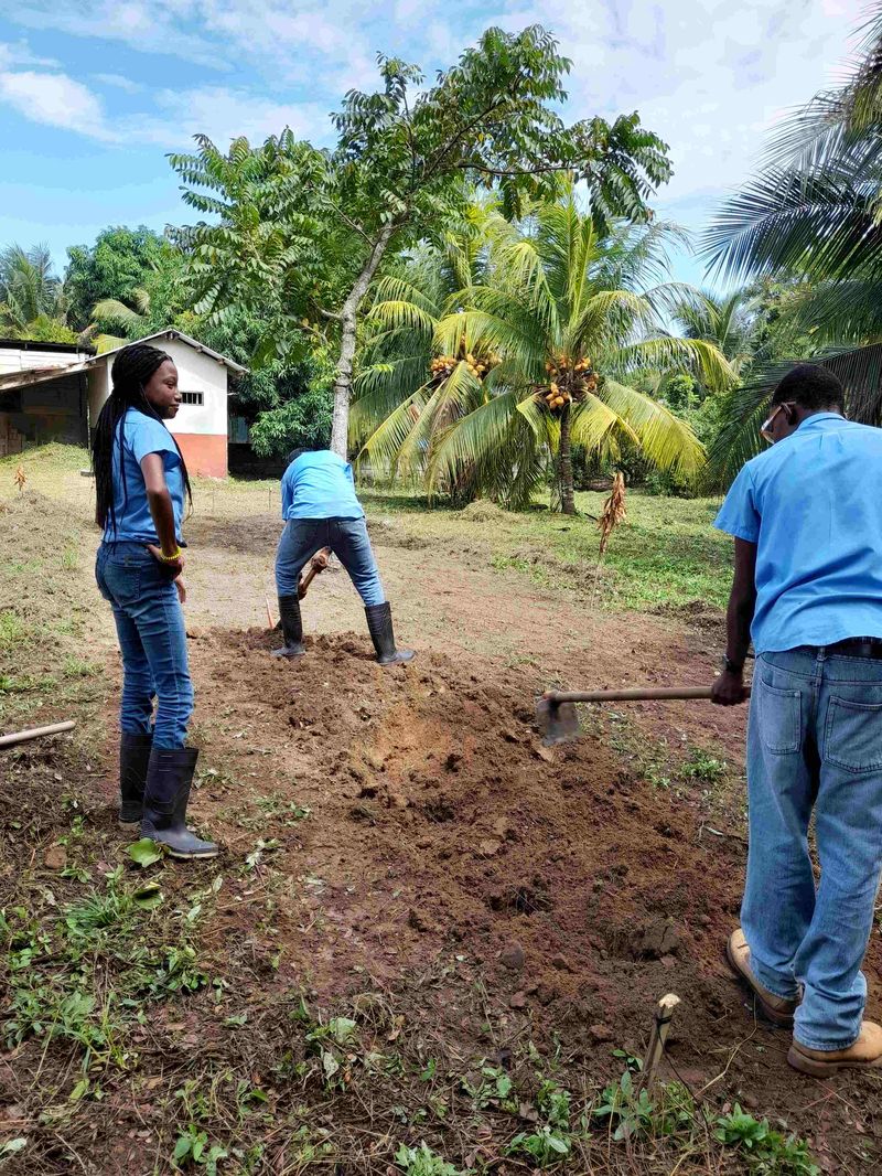 Next, they measured two garden beds and dug them out with picks and hoes.  The best part was discovering that the fill material is actually good brown earth!