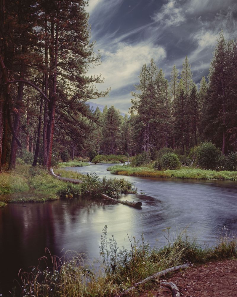 Best in the Metolius - By Chris Willard