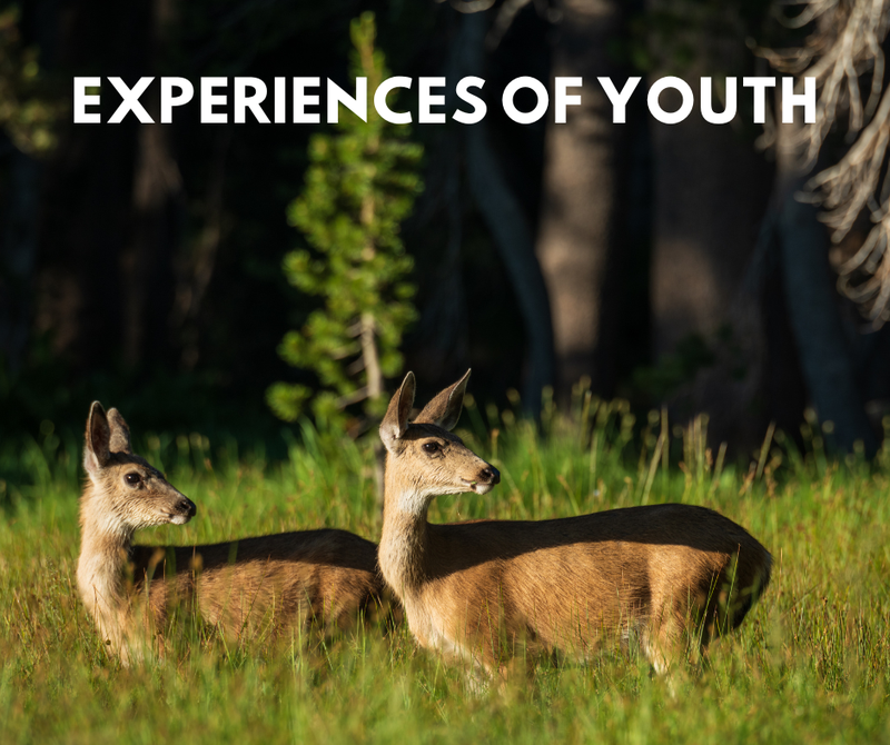 EXPERIENCES OF YOUTH