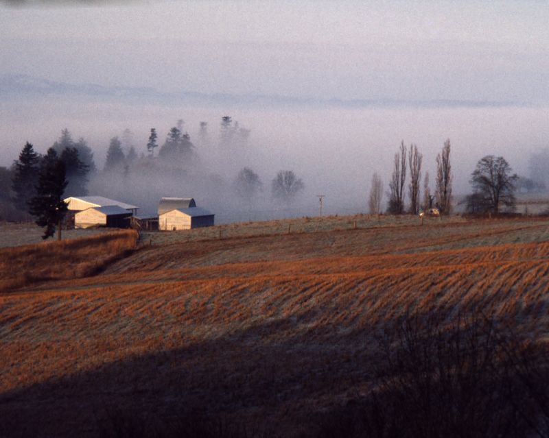 Farm and Fog by Chris Willard