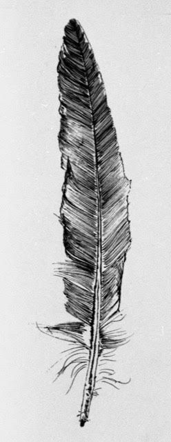 Feather by Kathryn Willard